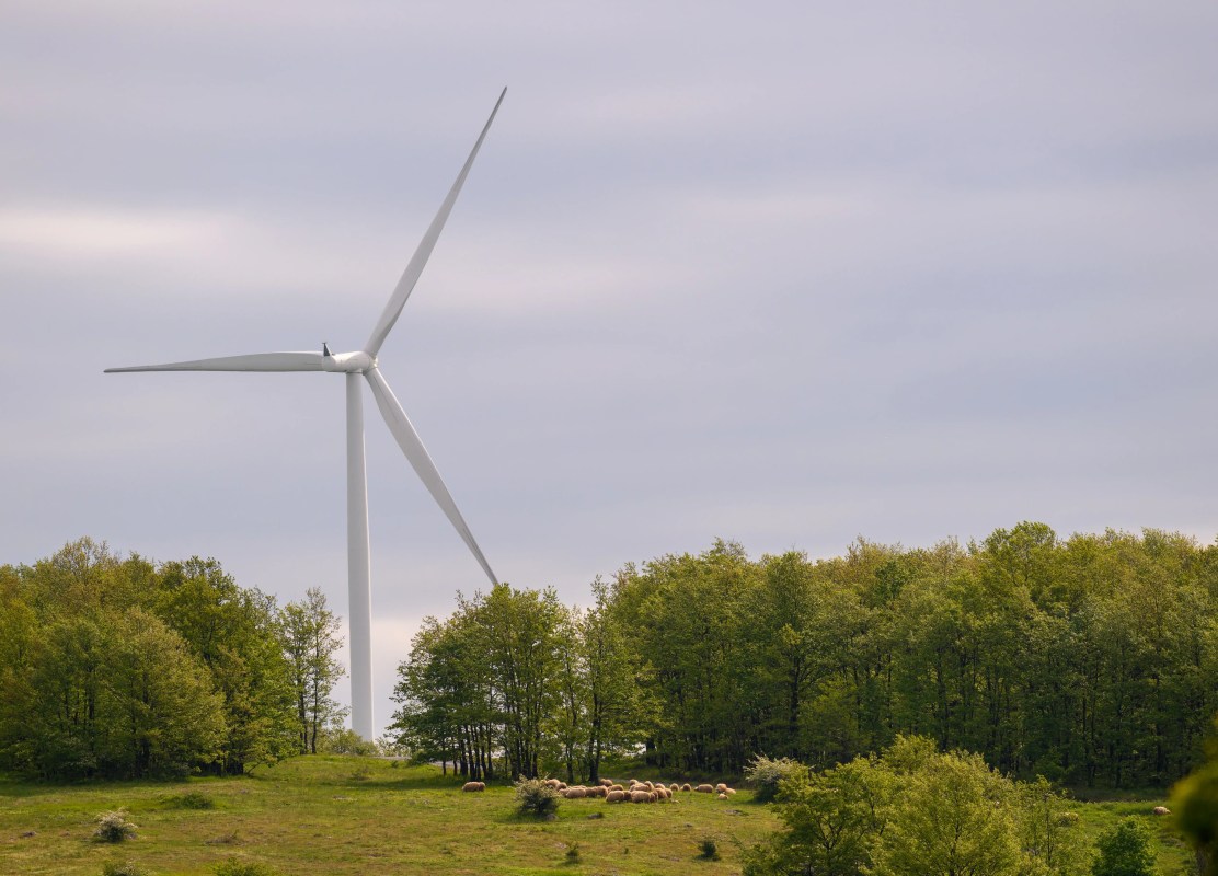 electripedia sustenabilitate 1