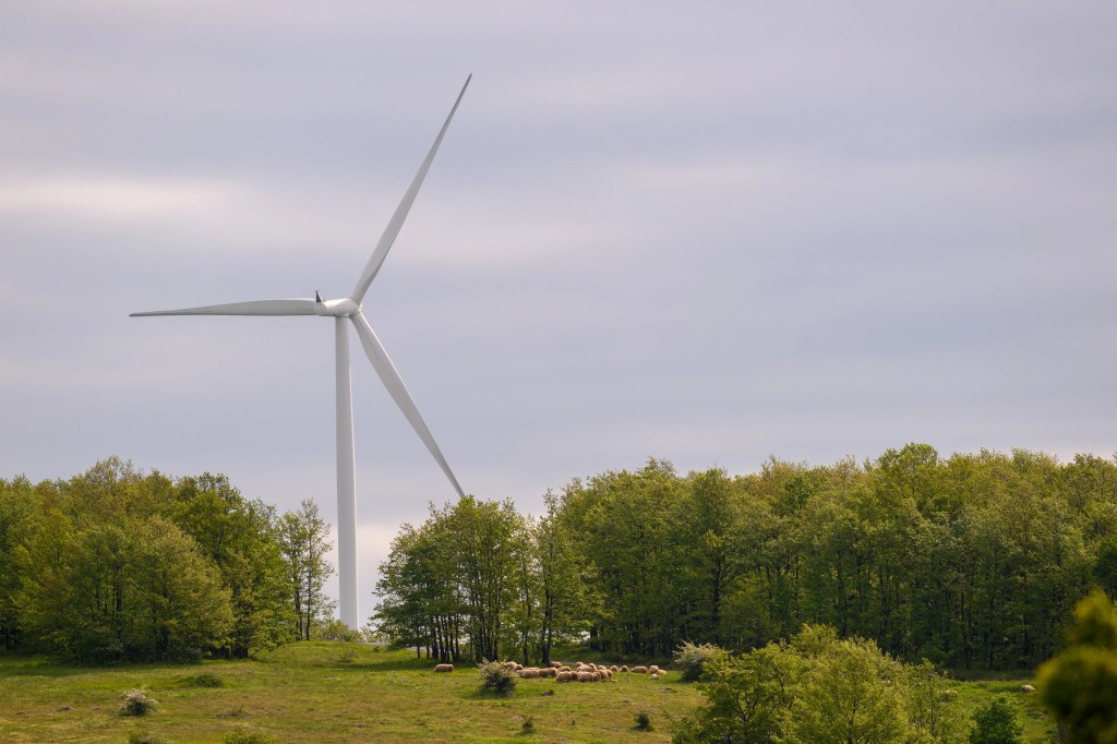 electripedia sustenabilitate 1